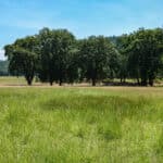 Photo 58 for Black Oak Ranch