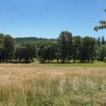 Photo 44 for Mill Creek Ranch
