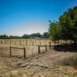 Photo 48 for Woodard Ranch