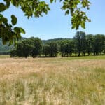 Photo 62 for Black Oak Ranch