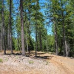 Photo 63 for Black Oak Ranch