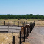 Photo 68 for Woodard Ranch