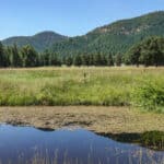 Photo 6 for Mill Creek Ranch