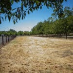 Photo 9 for Woodard Ranch