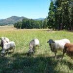 Photo 8 for Mill Creek Ranch