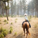 Photo 45 for Holcomb Valley Ranch