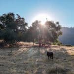 Photo 11 for Badger Ranch