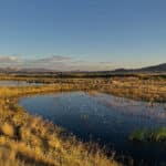 Photo 6 for Susan River Ranch