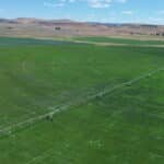 Photo 4 for Fort Bidwell Cattle and Hay