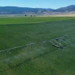 Photo 8 for Fort Bidwell Cattle and Hay