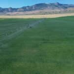 Photo 9 for Fort Bidwell Cattle and Hay