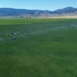 Photo 10 for Fort Bidwell Cattle and Hay