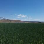 Photo 14 for Fort Bidwell Cattle and Hay