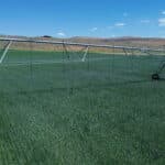 Photo 15 for Fort Bidwell Cattle and Hay