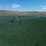 Photo 16 for Fort Bidwell Cattle and Hay