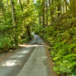 Photo 1 for Little River, Mendocino