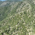 Photo 5 for 160 Acres Hyampom