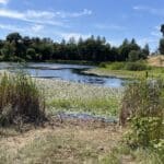 Photo 1 for Little Indian Lake