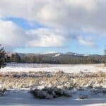 Photo 9 for Holcomb Valley Ranch