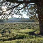 Photo 6 for Holcomb Valley Ranch