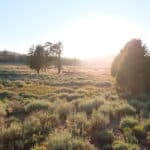 Photo 5 for Holcomb Valley Ranch