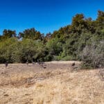 Photo 12 for Badger Ranch