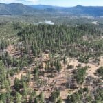 Photo 4 for 240 Acres Hayfork