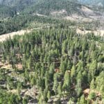 Photo 6 for 240 Acres Hayfork