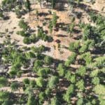 Photo 12 for 240 Acres Hayfork