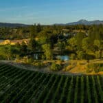 Photo 4 for Alger Vineyards