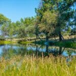 Photo 75 for Alger Vineyards