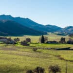 Photo 3 for Lady Bug Ranch