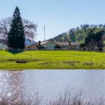 Photo 7 for Lady Bug Ranch