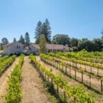 Photo 28 for Alger Vineyards