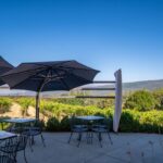 Photo 36 for Alger Vineyards