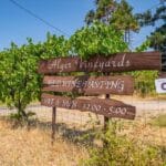 Photo 77 for Alger Vineyards