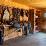 Photo 21 for Lady Bug Ranch