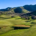 Photo 30 for Lady Bug Ranch