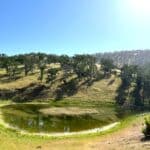 Photo 31 for Lady Bug Ranch