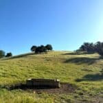 Photo 32 for Lady Bug Ranch