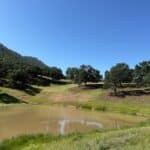 Photo 33 for Lady Bug Ranch