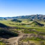 Photo 40 for Lady Bug Ranch