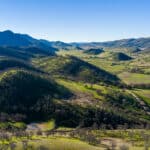 Photo 39 for Lady Bug Ranch