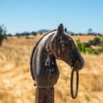 Photo 31 for Gillam Road Ranch