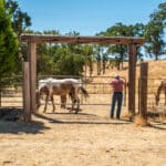 Photo 36 for Gillam Road Ranch