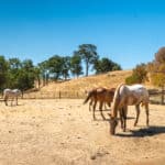 Photo 37 for Gillam Road Ranch