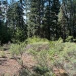 Photo 1 for 40 Acres Siskiyou 420