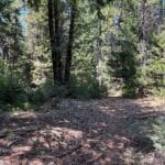 Photo 4 for 40 Acres Siskiyou 420