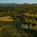 Photo 5 for Alger Vineyards