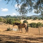 Photo 30 for Blue Fountain Farm